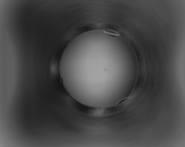 X0000099990090200806061553