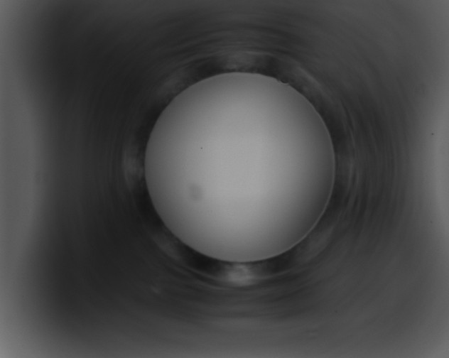 X0000099990091200806061553