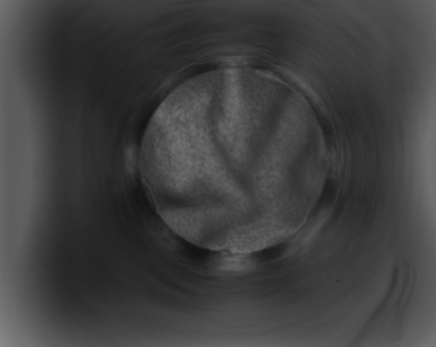 X0000099990093200806061553