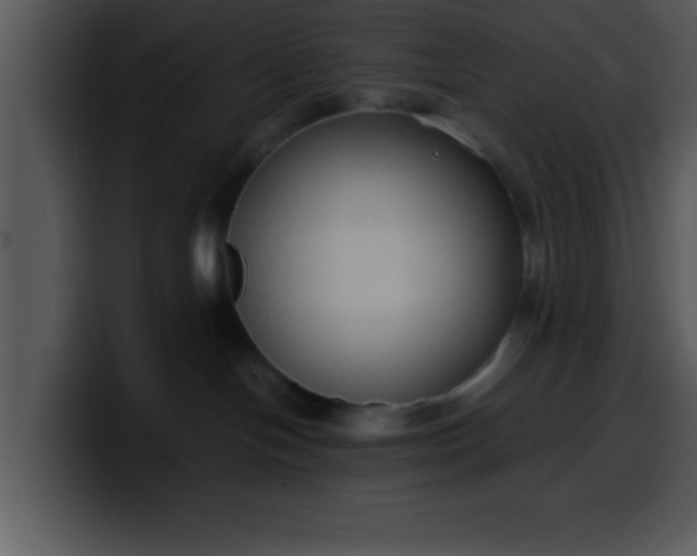 X0000099990094200806061553