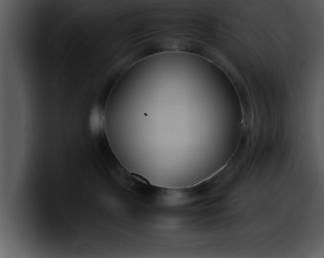 X0000099990095200806061553