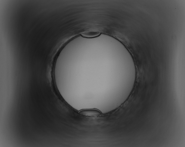 X0000099990098200806061552