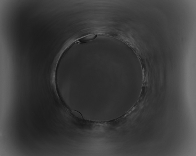 X0000099990099200806061552