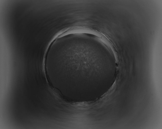 X0000099990100200806061552