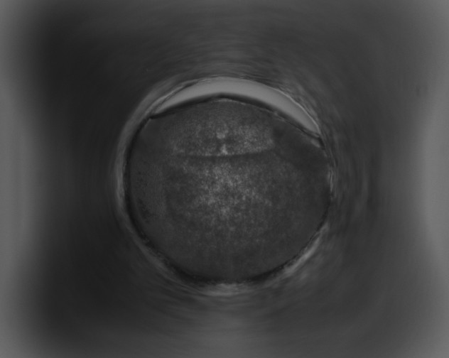 X0000099990101200806061552