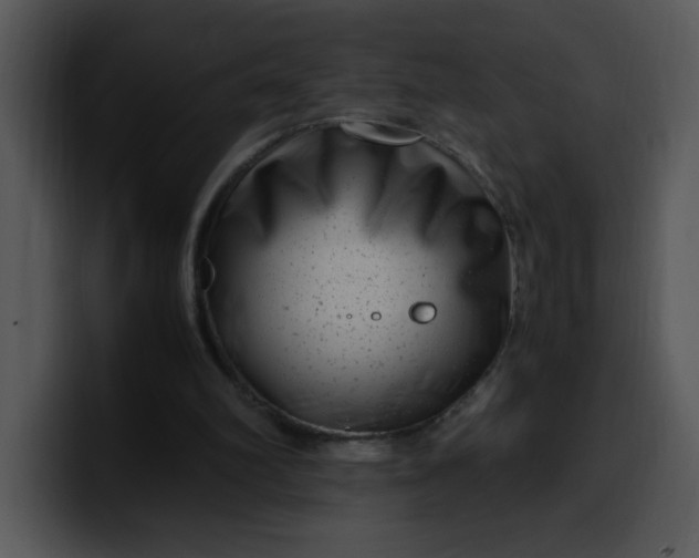 X0000099990102200806061552