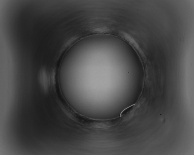 X0000099990106200806061552