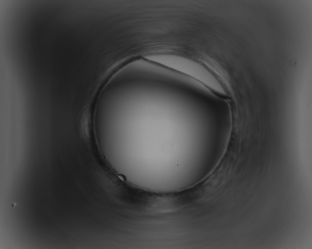 X0000099990107200806061552