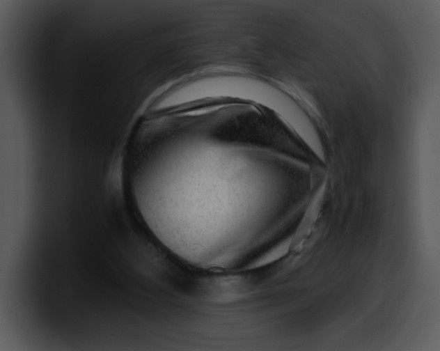 X0000099990108200806061552