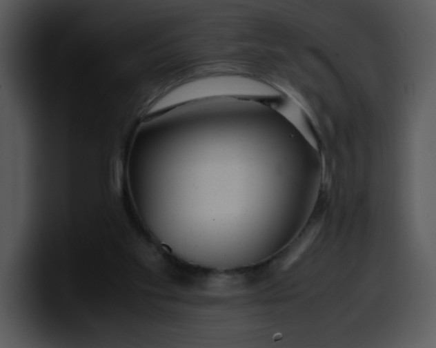 X0000099990109200806061552