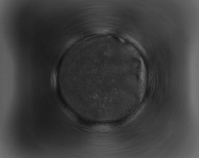 X0000099990110200806061552