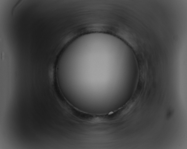 X0000099990111200806061552