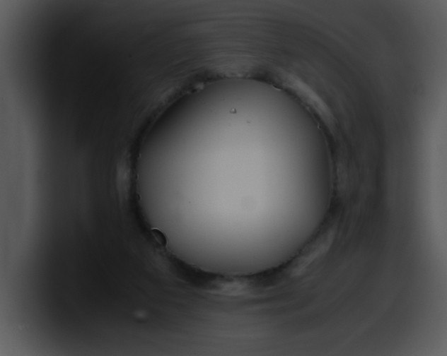 X0000099990113200806061552