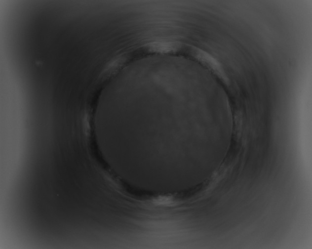 X0000099990114200806061552