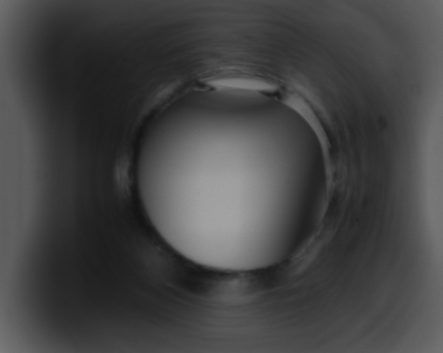 X0000099990116200806061552