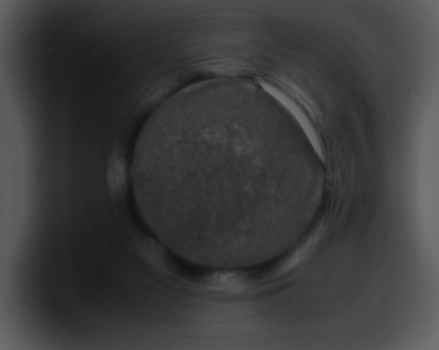 X0000099990117200806061552