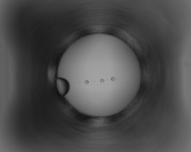 X0000099990118200806061552