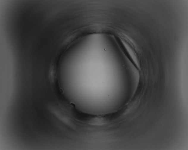 X0000099990119200806061552