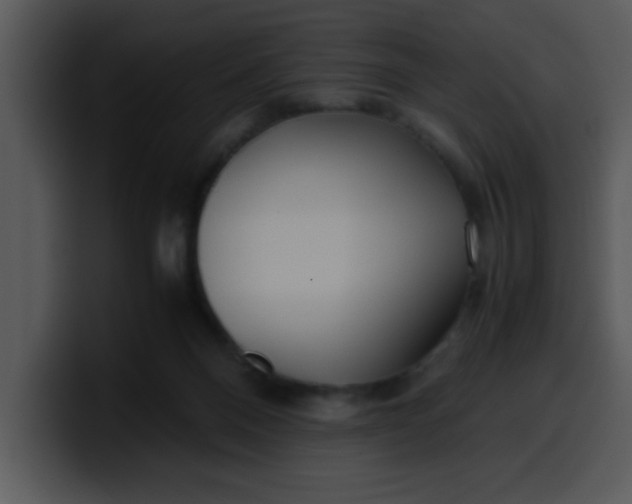 X0000099990120200806061552