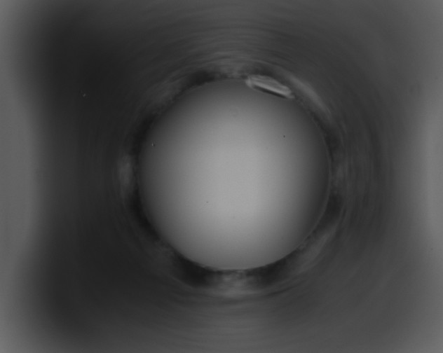 X0000099990121200806061552