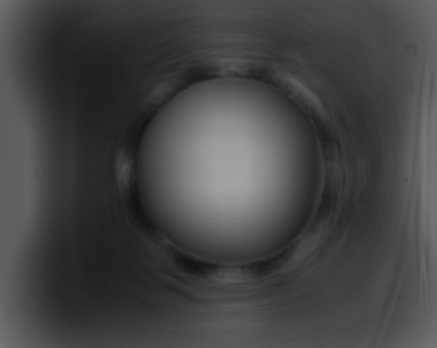 X0000099990123200806061552