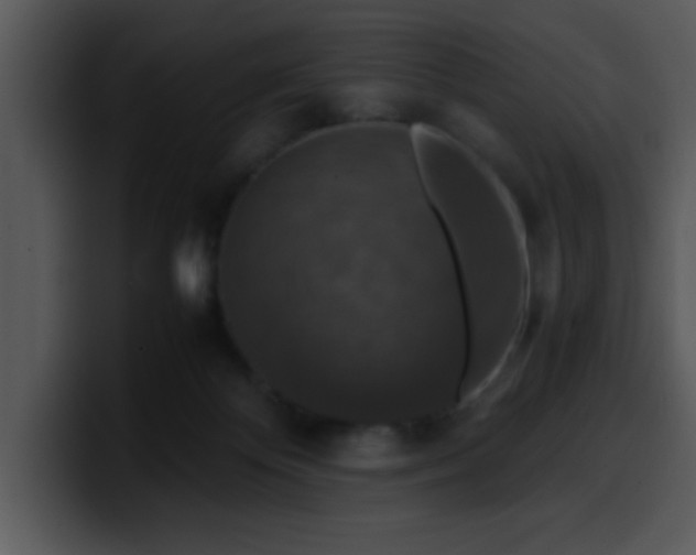 X0000099990124200806061552