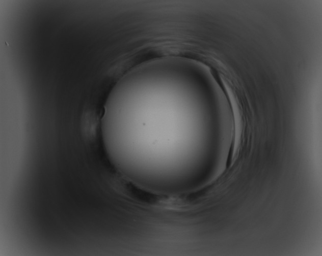 X0000099990125200806061552