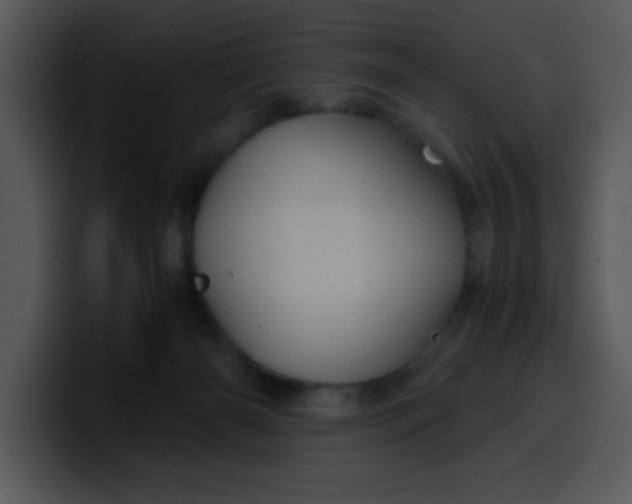 X0000099990126200806061552