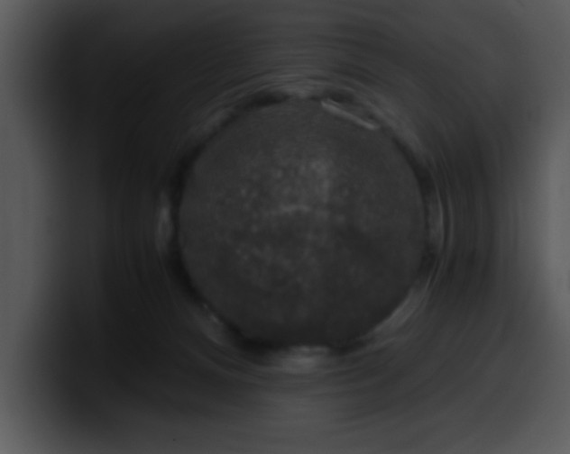 X0000099990128200806061552