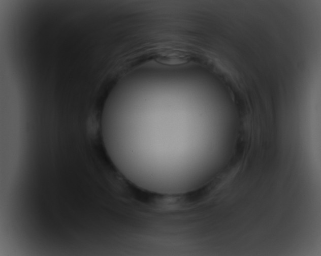 X0000099990129200806061552