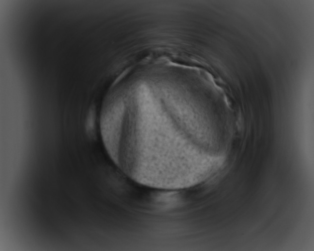 X0000099990132200806061552