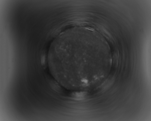 X0000099990134200806061552