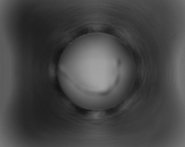 X0000099990135200806061552