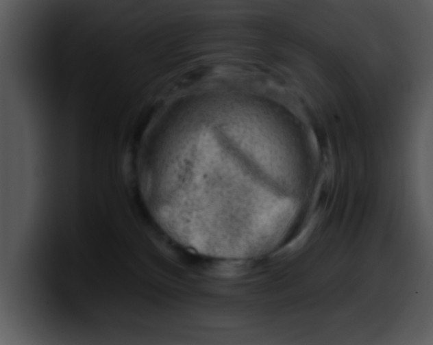 X0000099990136200806061552