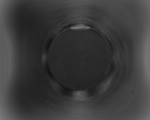 X0000099990137200806061552