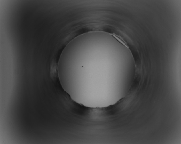 X0000099990141200806061552