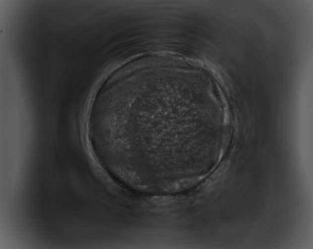 X0000099990145200806061551