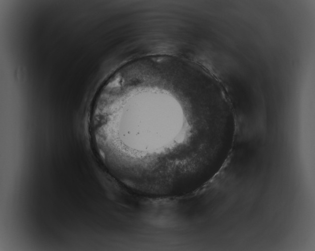 X0000099990146200806061551