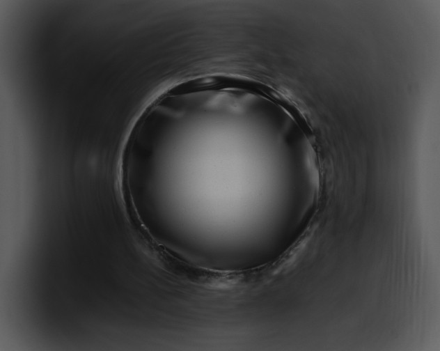 X0000099990148200806061551