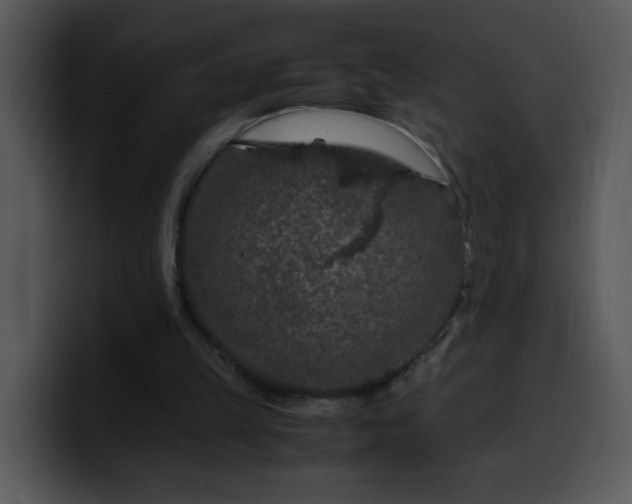 X0000099990149200806061551