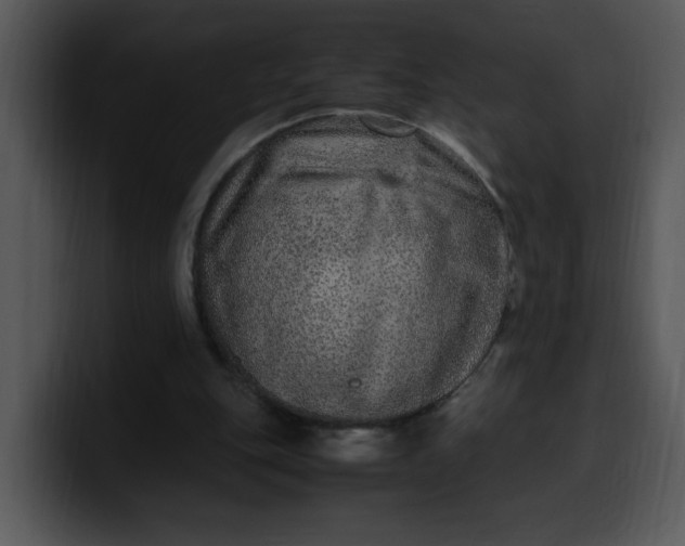 X0000099990151200806061551