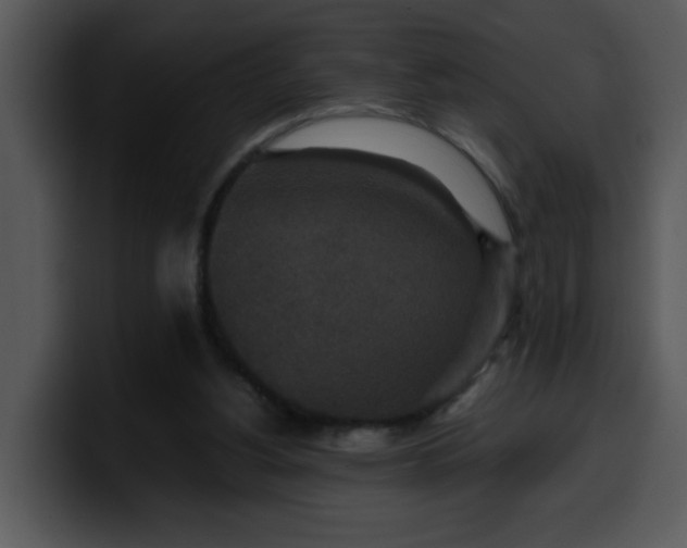 X0000099990156200806061551