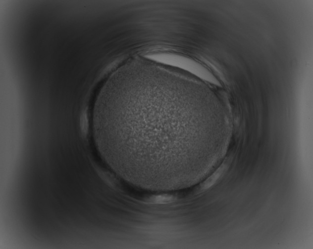 X0000099990158200806061551