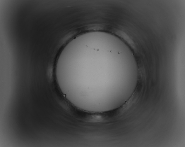 X0000099990159200806061551