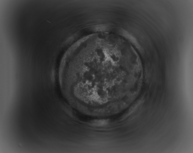 X0000099990161200806061551