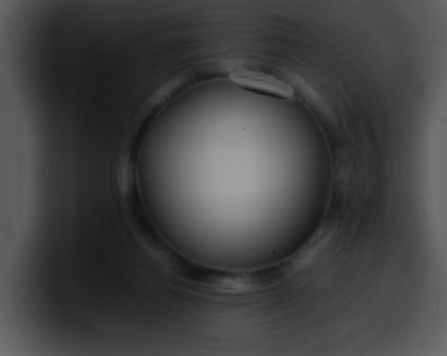 X0000099990164200806061551