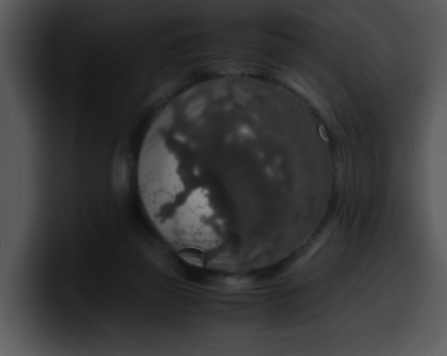 X0000099990165200806061551