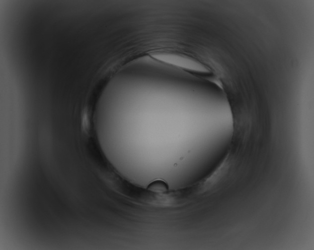 X0000099990166200806061551