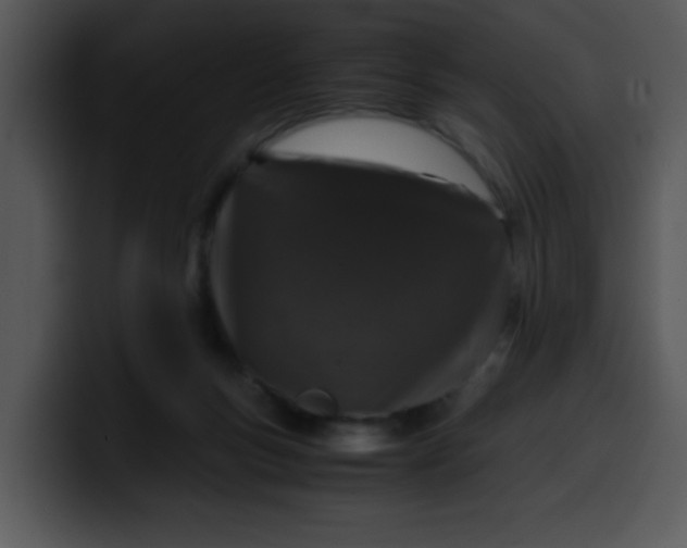 X0000099990167200806061551