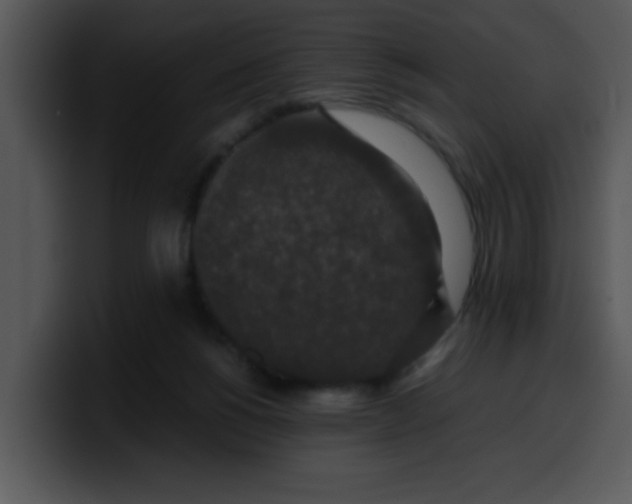 X0000099990168200806061551